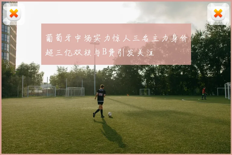 葡萄牙中场实力惊人三名主力身价超三亿双核与B费引发关注